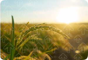 Capture Decran 2025 12 01 A 17.21.39 6 3